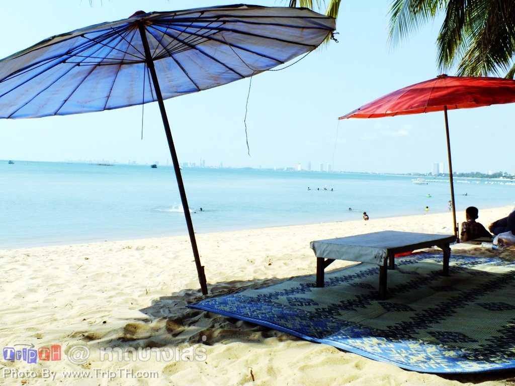 ที่นั่งพักผ่อนริมชายหาด (2)