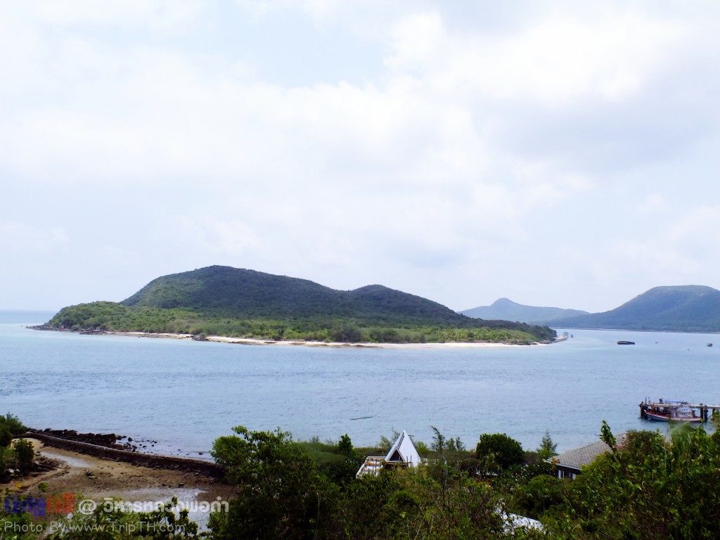 ชมวิว เกาะแรด เกาะแสมสาร (2)