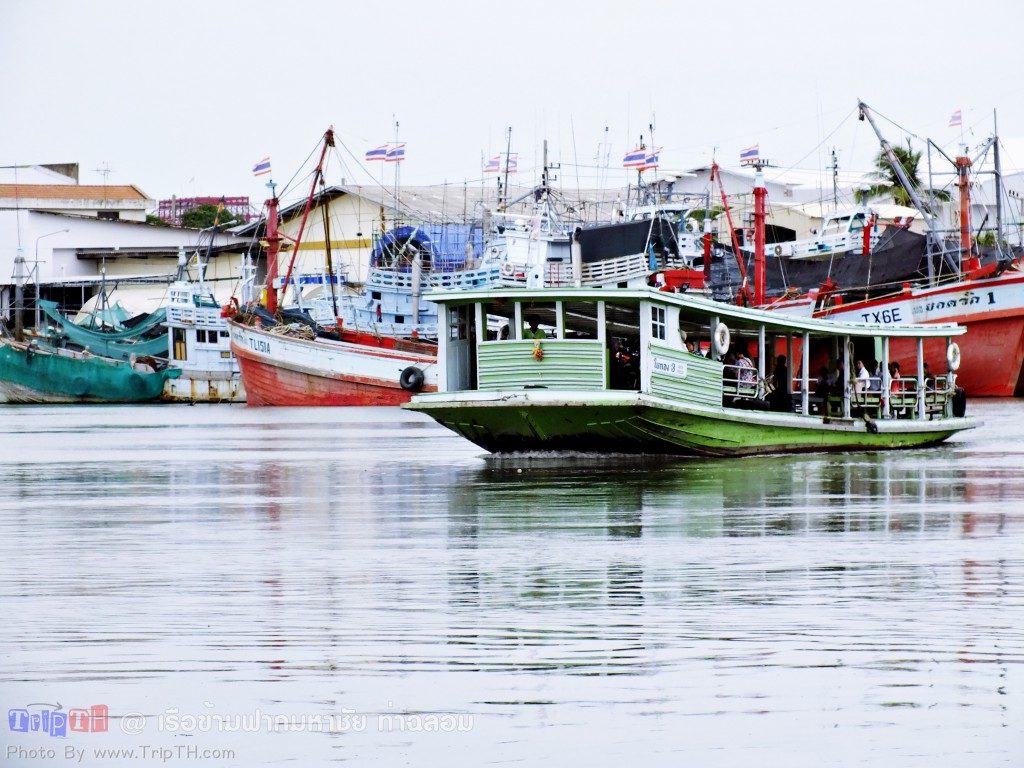 เรือข้ามฟากมหาชัย ท่าฉลอม (1)