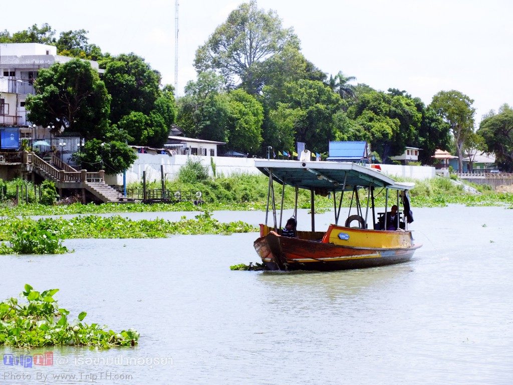 เรือข้ามฟากอยุธยา (1)