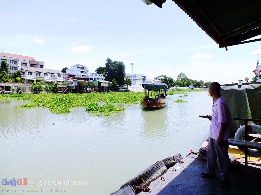 เรือข้ามฟากอยุธยา (2)