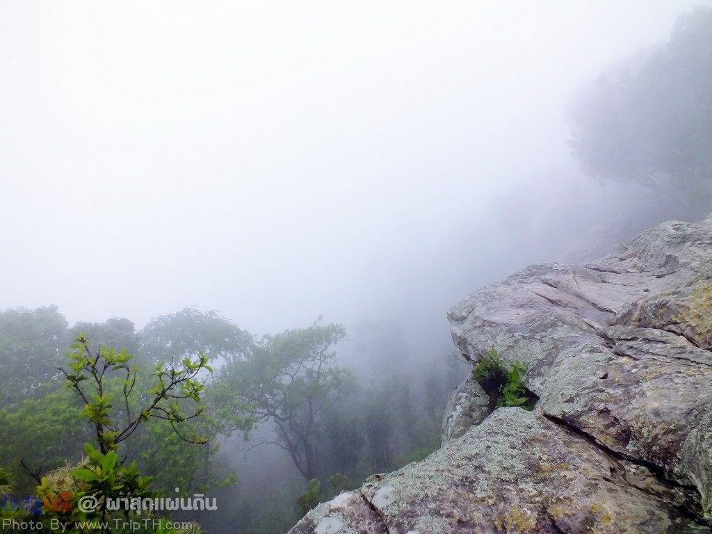 ผาสุดแผ่นดิน อุทยานแห่งชาติป่าหินงาม (1)