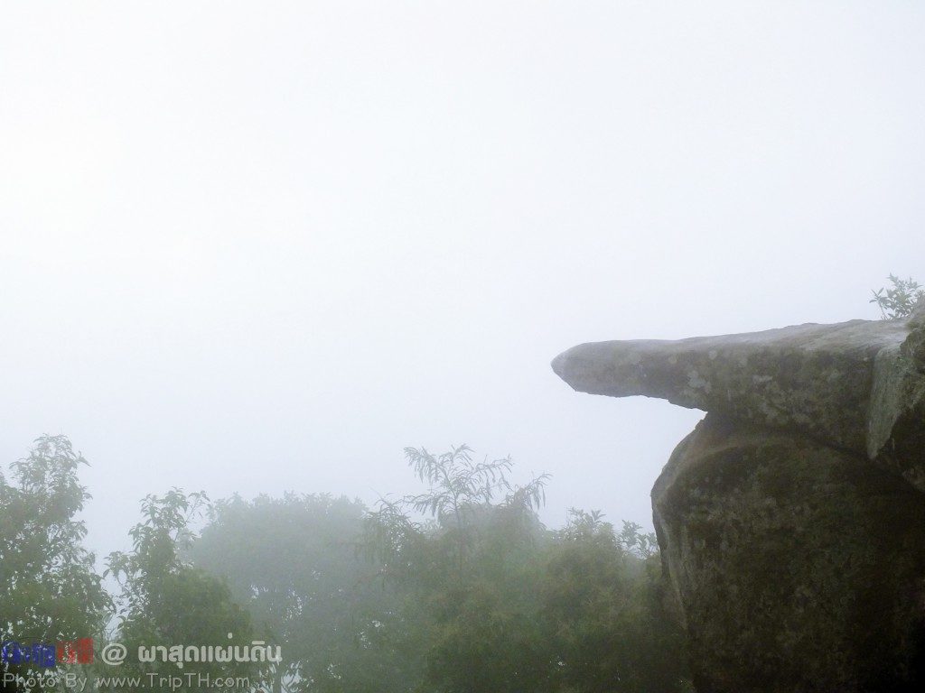 ผาสุดแผ่นดิน อุทยานแห่งชาติป่าหินงาม (4)